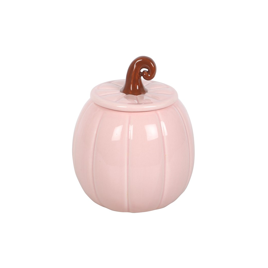 Pink Curly Pumpkin Oil Burner - view 3