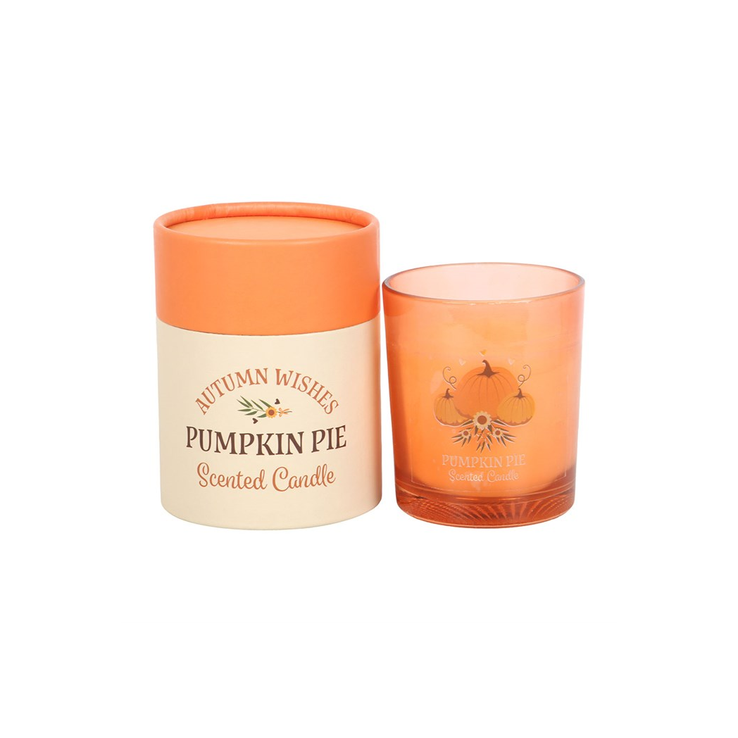 Autumn Wishes Pumpkin Pie Candle - view 2