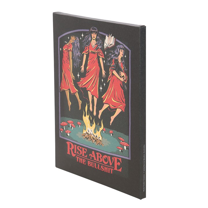 19x25cm Rise Above the Bullshit Canvas Plaque by Steven Rhodes - view 3